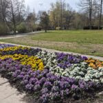 Kurparkführung " Was blüht denn da?